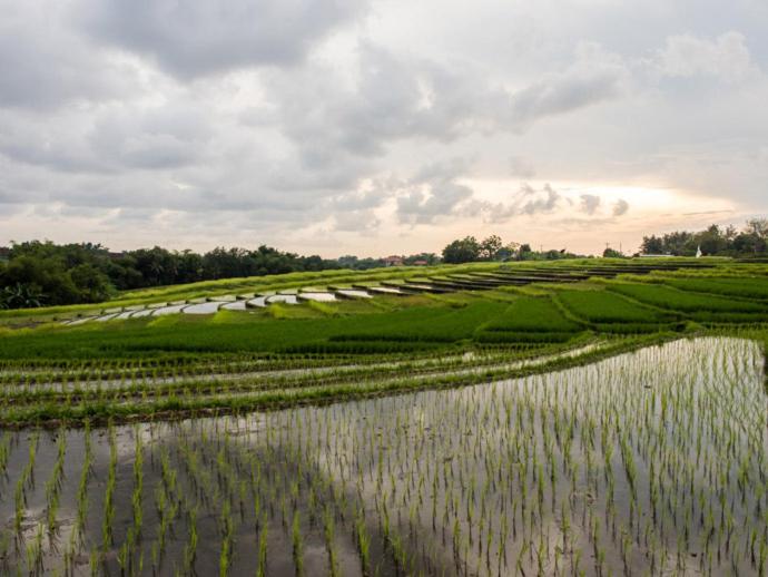 Dua Rumah Canggu Bali - Housity