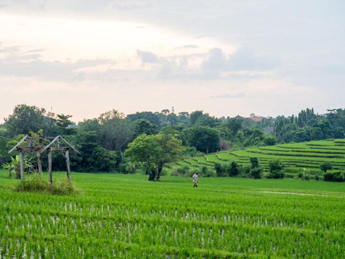 Dua Rumah Canggu Bali - Housity