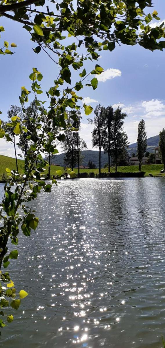 Appartamenti Cenni - Relais su Lago - Housity