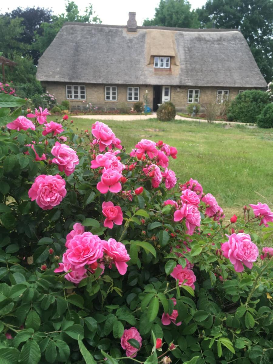 Koopmanns-Hus - Housity