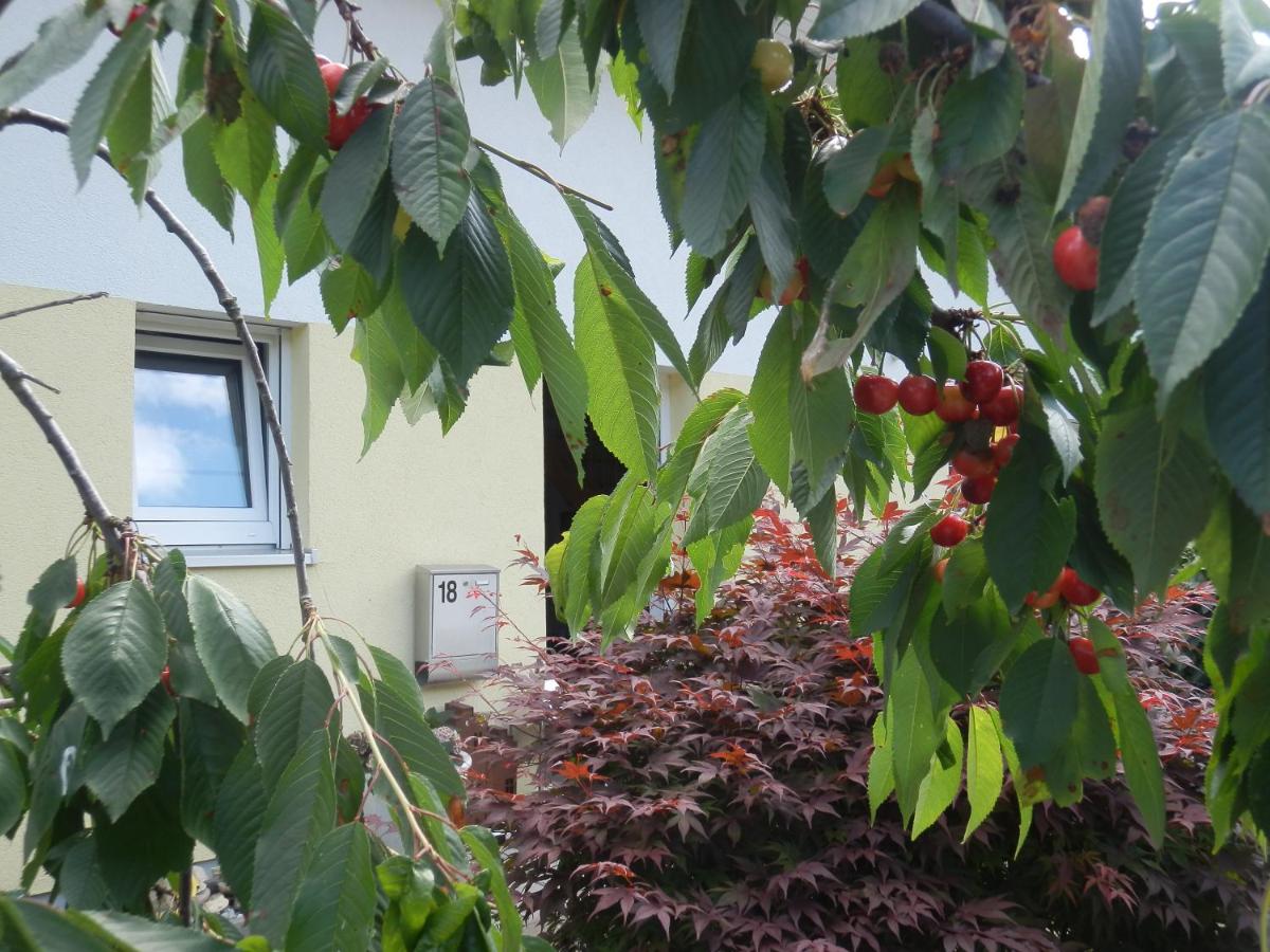 Bed & Breakfast Engen - Housity