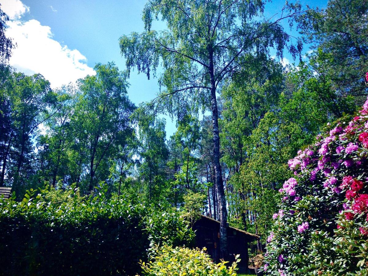 De Drie Beuken - Housity