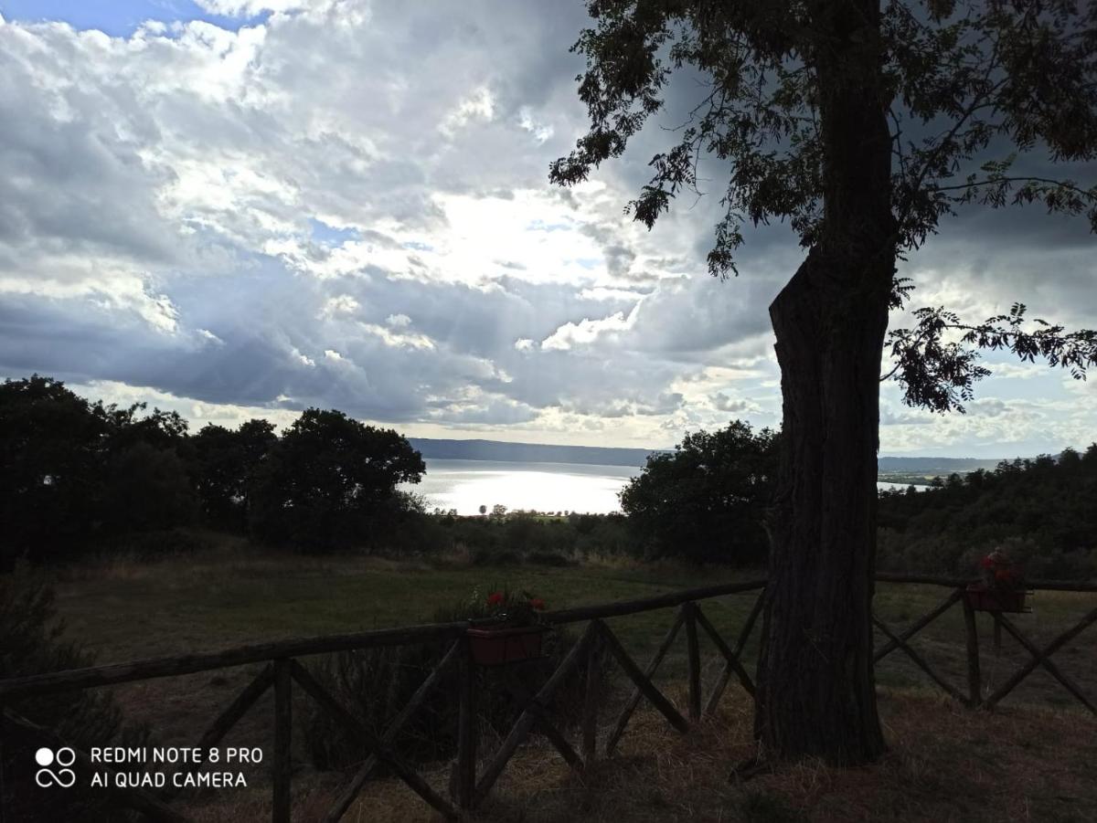 Meridiano 12 - Housity