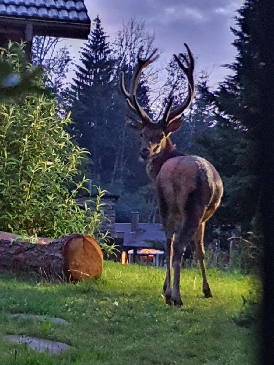 Chalet du champs des semeaux - Housity