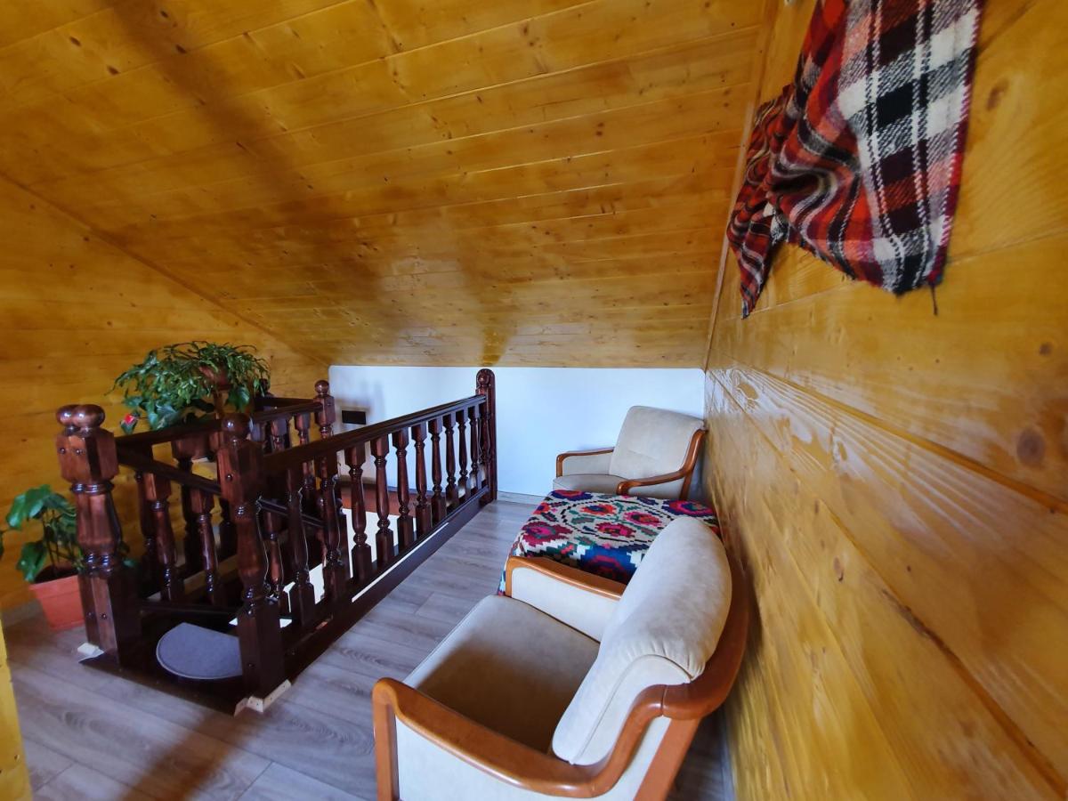 Pensiunea Ilea - Housity