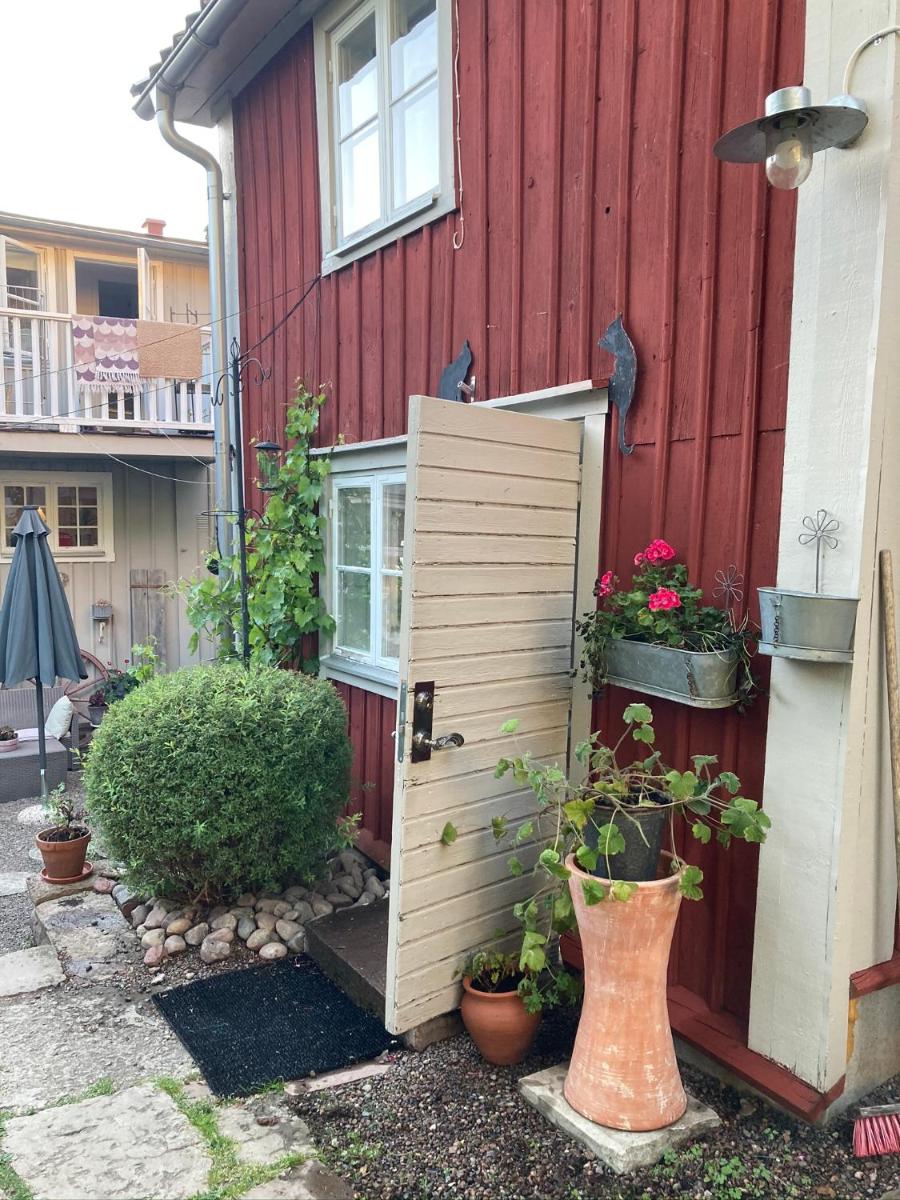 Pinglans bakficka - Housity