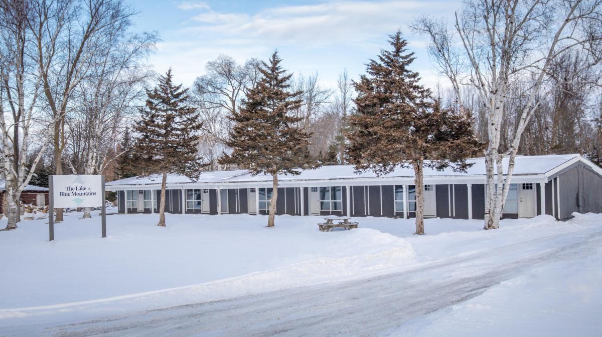Boutique Suite #7 - Housity