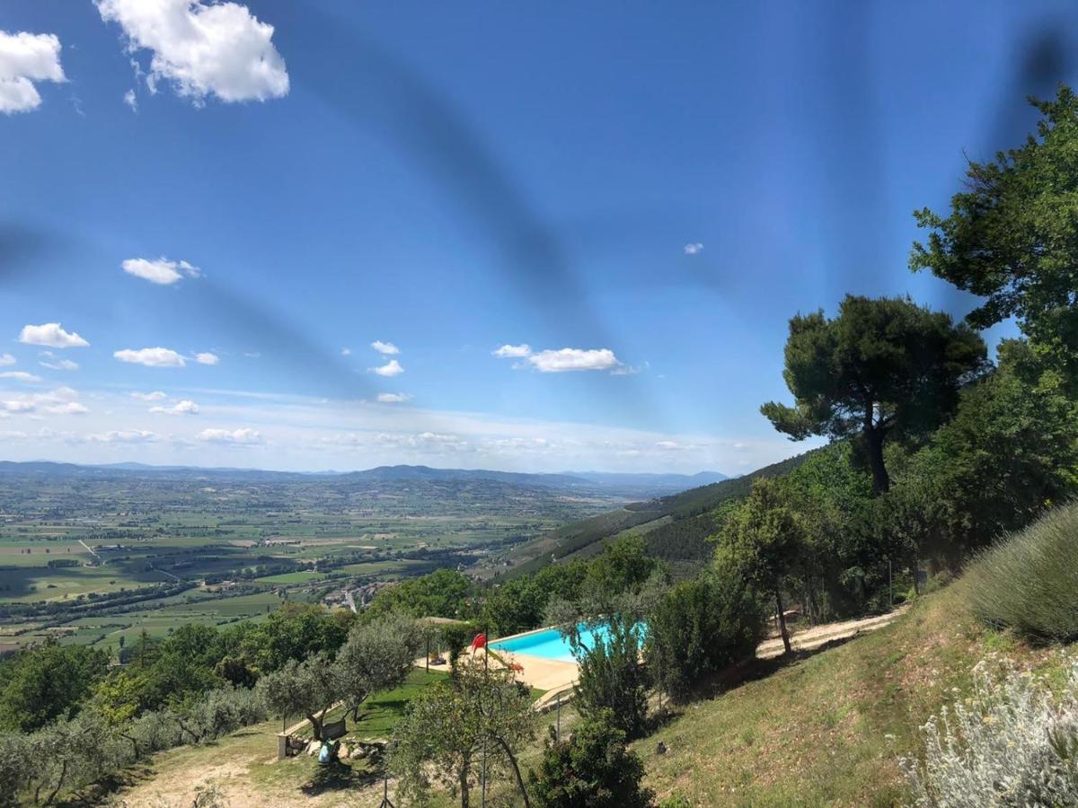 B&B Belvedere - Housity