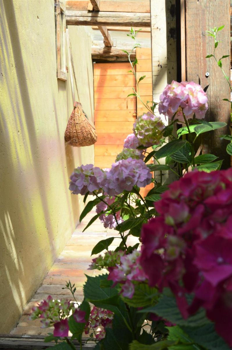 B&B Lady Cocca - Housity