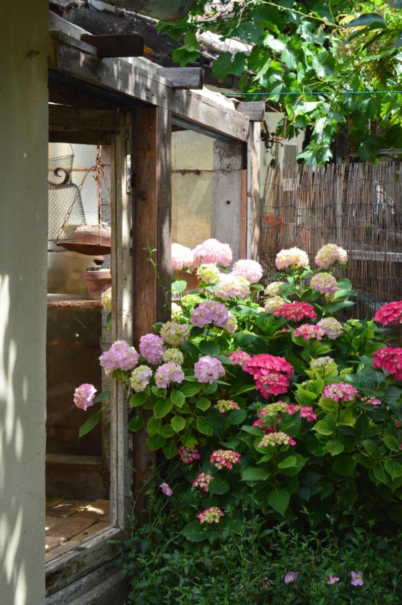 B&B Lady Cocca - Housity