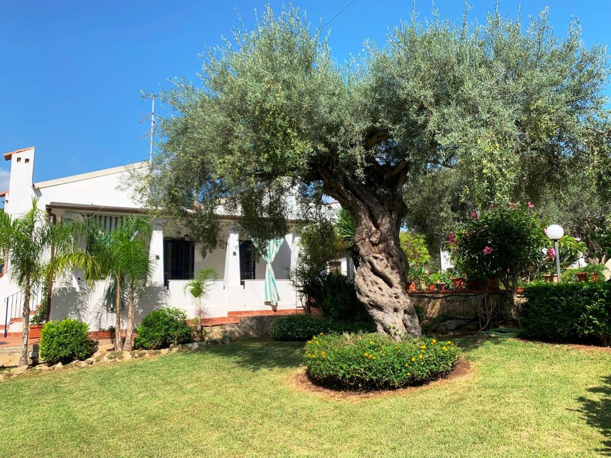 Villa Musa Fontane Bianche - Housity