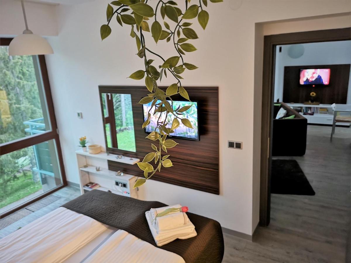 The Evergreen Nest - Silver Mountain - Housity