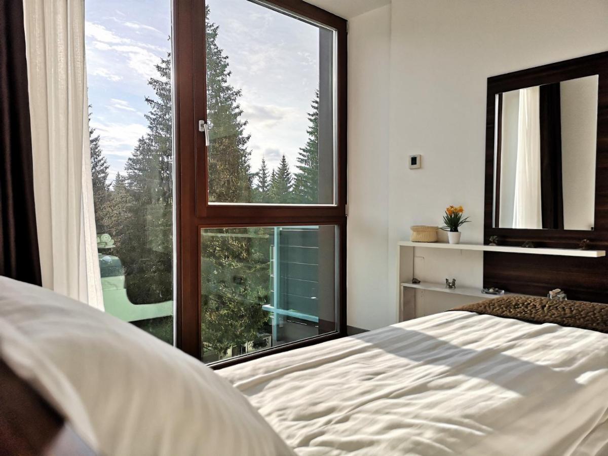 The Evergreen Nest - Silver Mountain - Housity