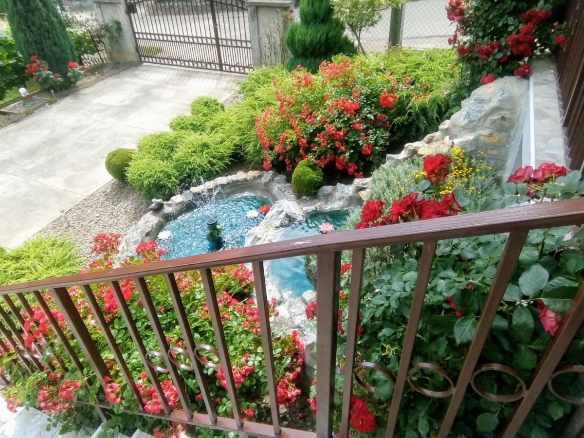 Apartment Vila MM Srce - Housity