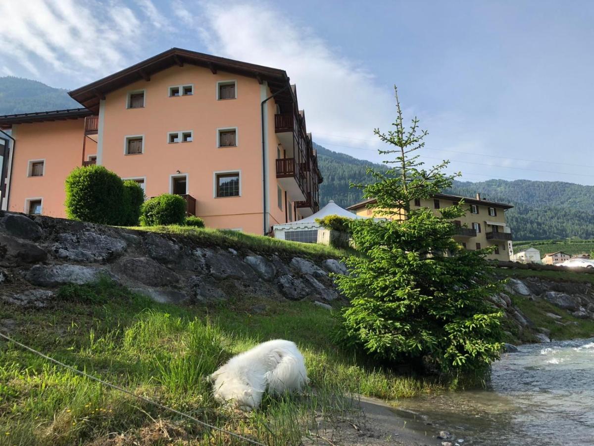 Hotel Laste' - Housity