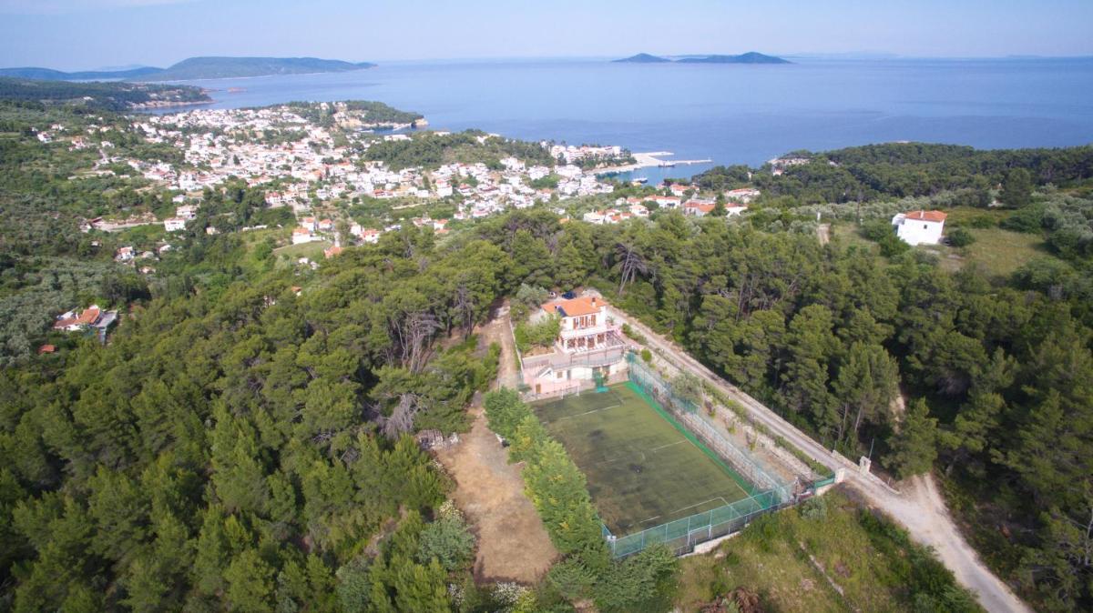 The Pine Tree House - Housity