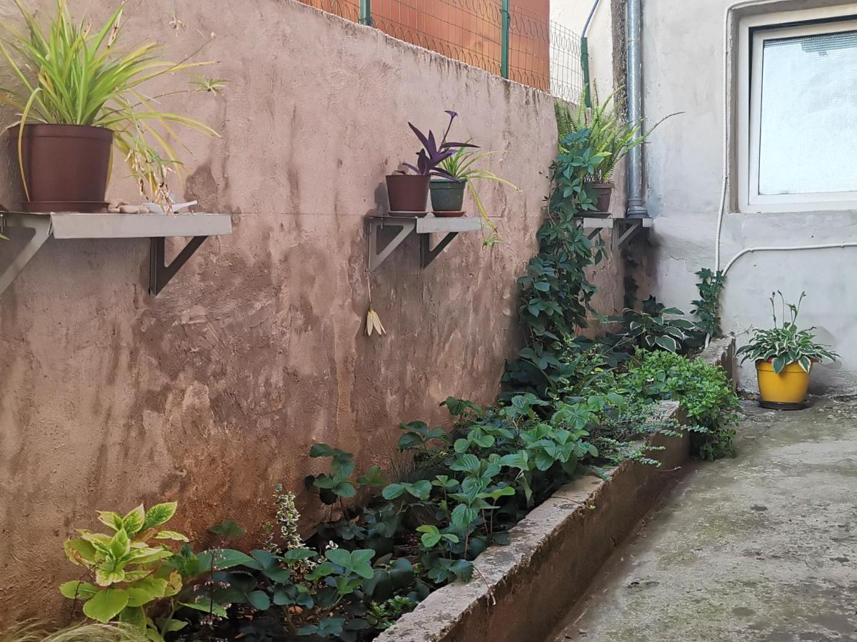 Apartments Dolores - Housity