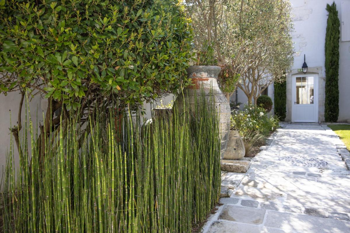 Jardin de l'établissement Villa Clarisse & Spa by Olivier Claire