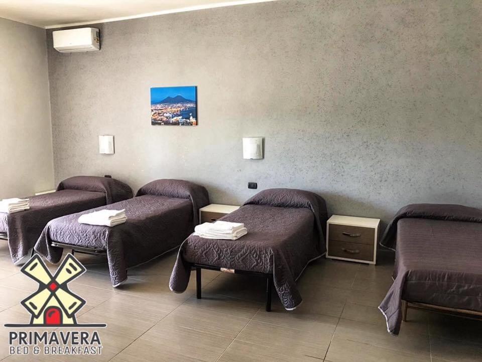 Bed&Breakfast La Primavera - Housity