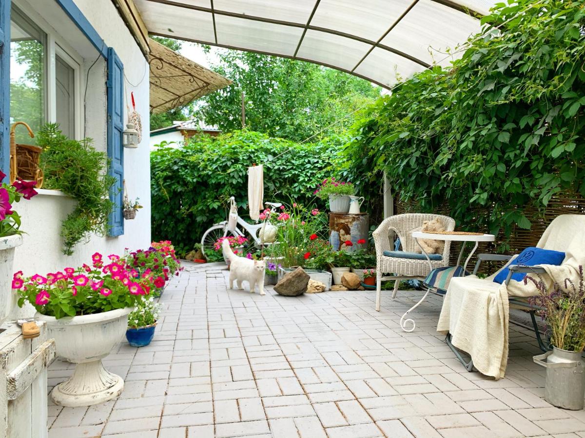 Guest House Russian Izba - Housity