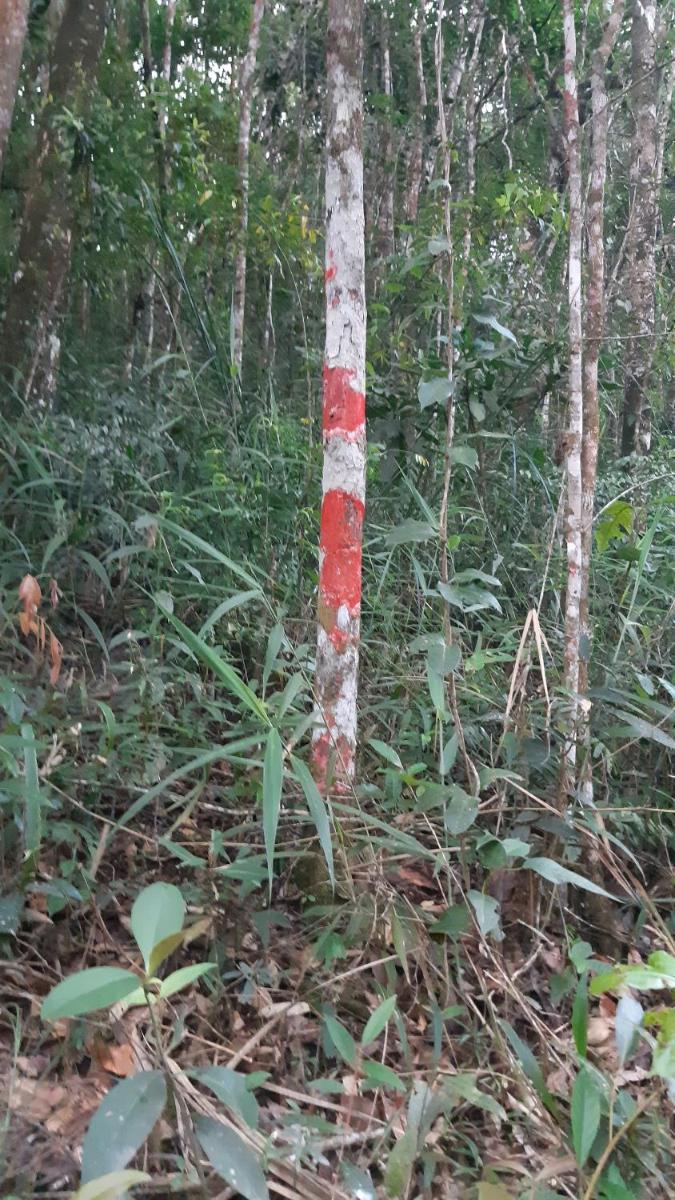 Sossego Da Mata - Housity