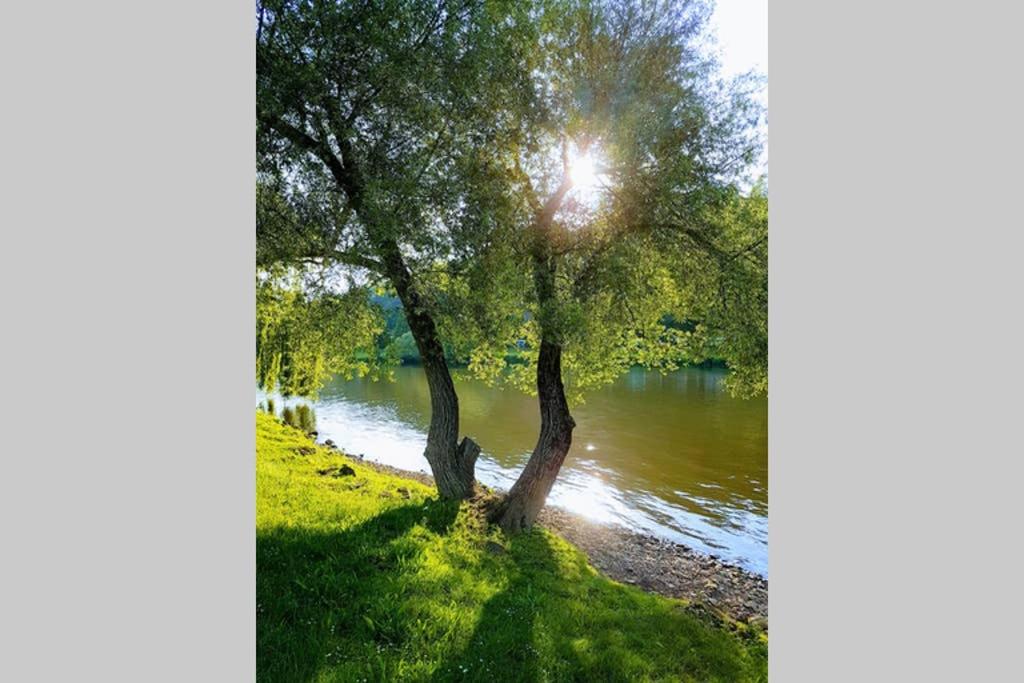 Ferienwohnung 'Burgblick' - Housity