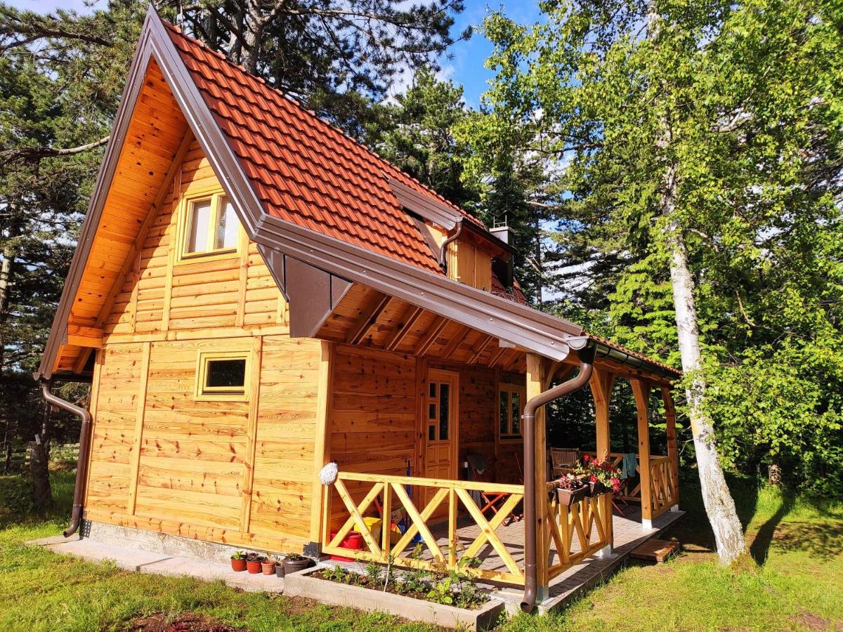 Brvnara 23 minimum 2 noći - Housity