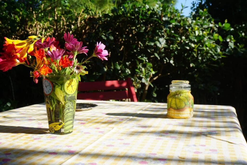 Cosy guest house with private yard - Housity