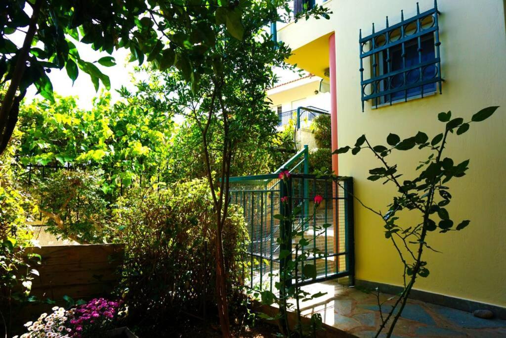 Cosy guest house with private yard - Housity