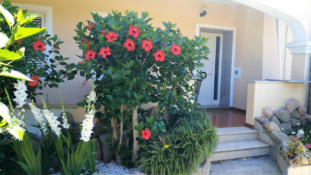 Casa Vacanze Dolce Hibiscus - Housity