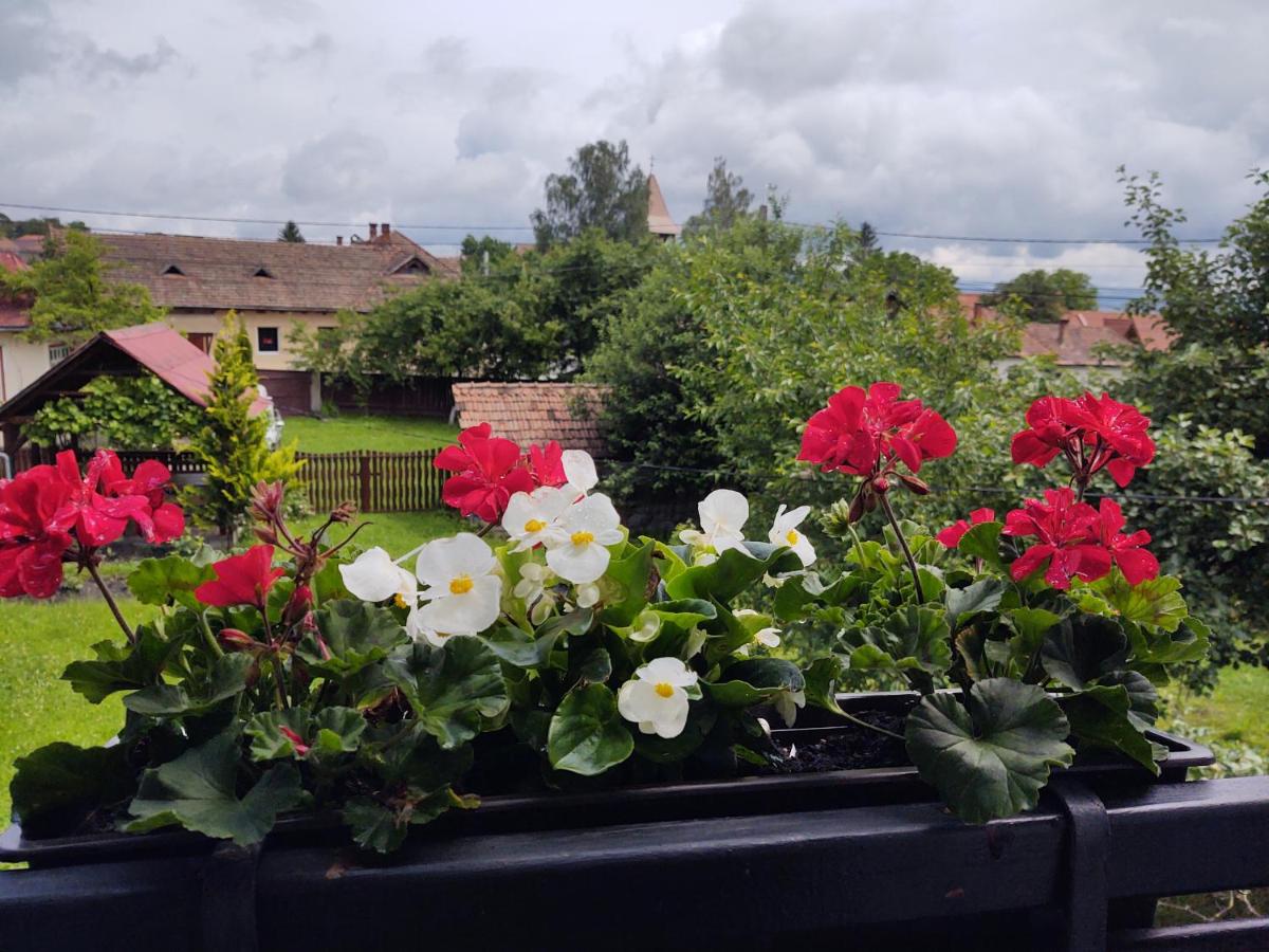 Vendel Guesthouse - Housity