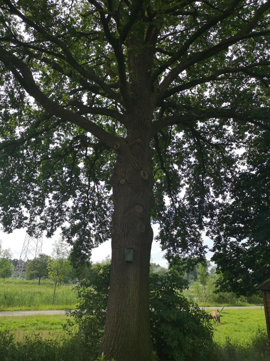 Vakantieboerderij Misset - Housity