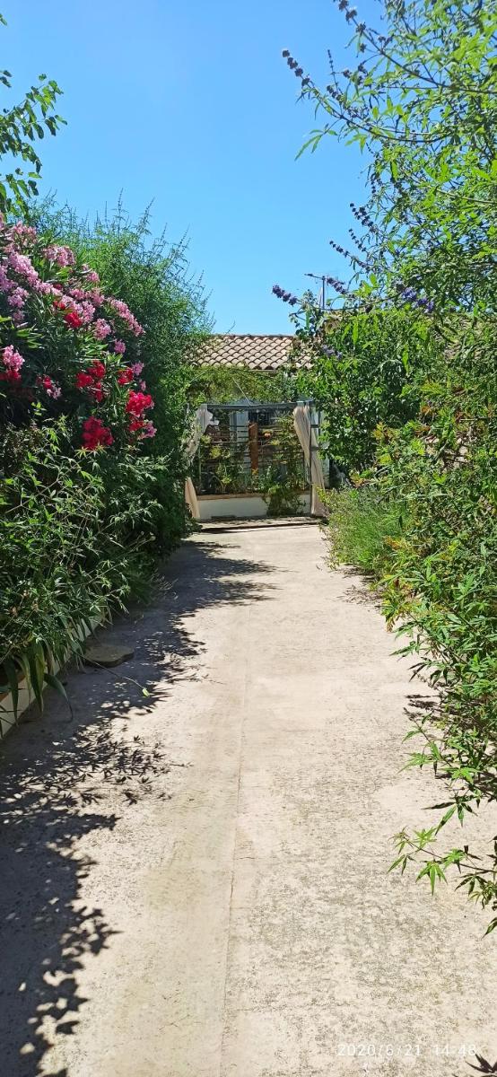 Secret Garden - Chez Gilles et Tra - Maison d hôte -T2 super mignon, neuf et indépendant , dans cadre agréable et zen - Housity