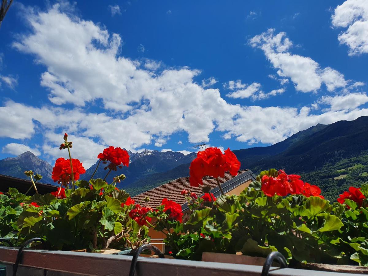 B&B Il Pettirosso - Housity