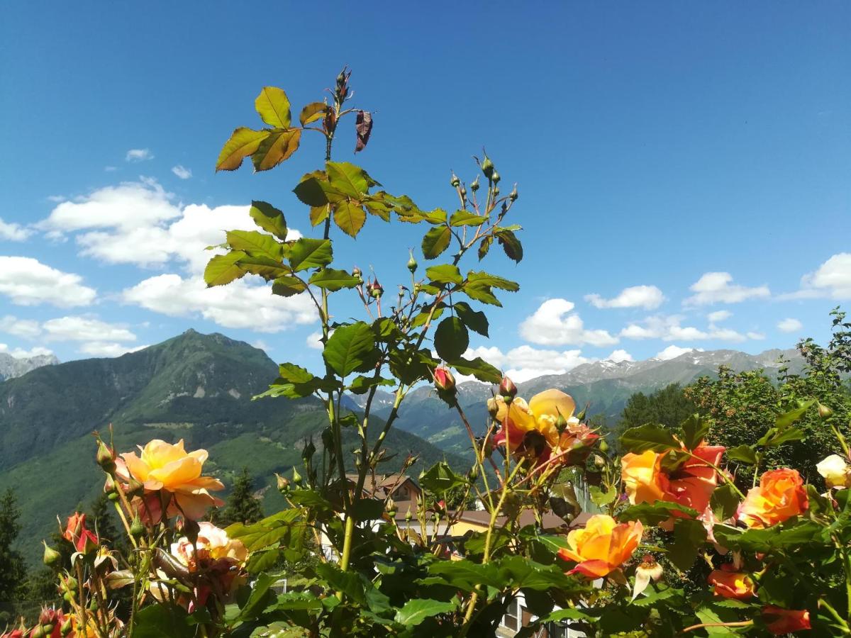 Albergo Ristorante Sargas - Housity