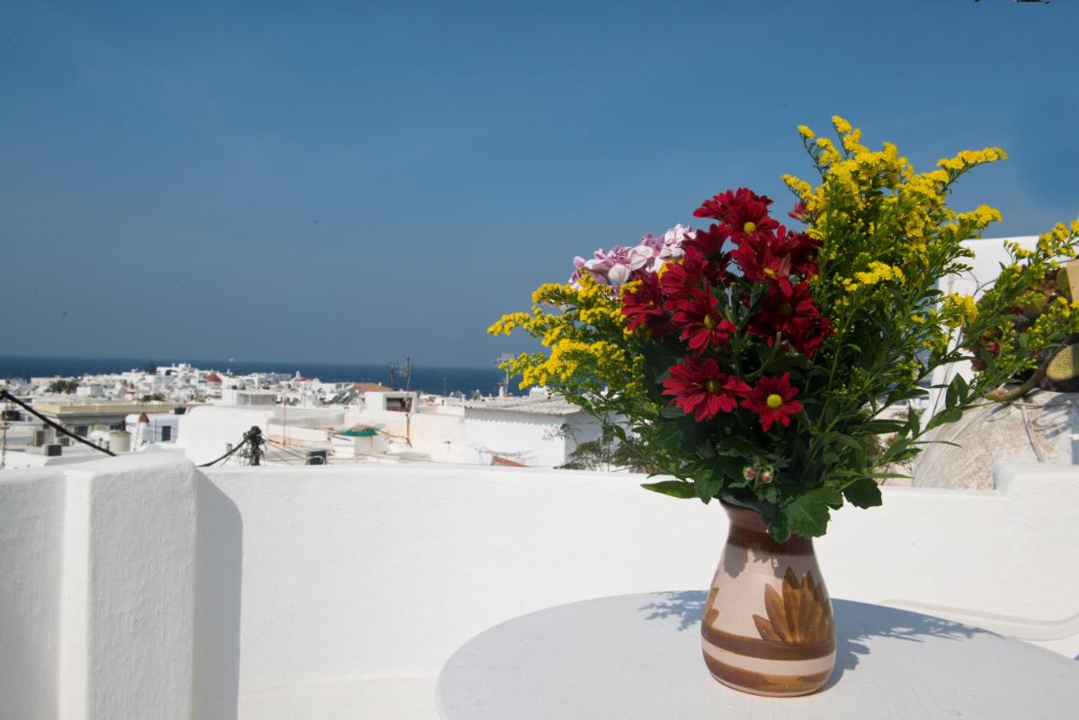 Sunday Summer House - Housity