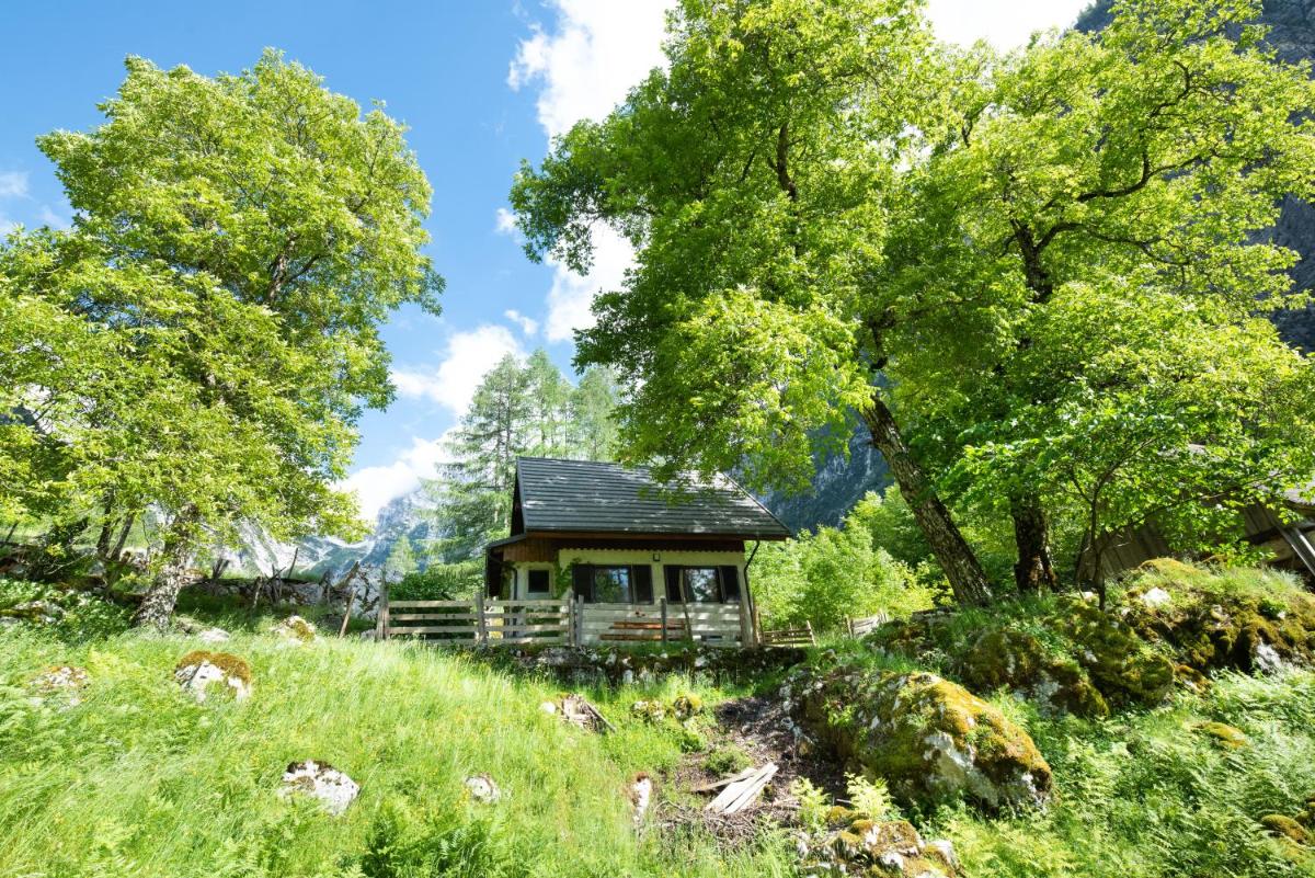 Alpine house Antonia - Housity