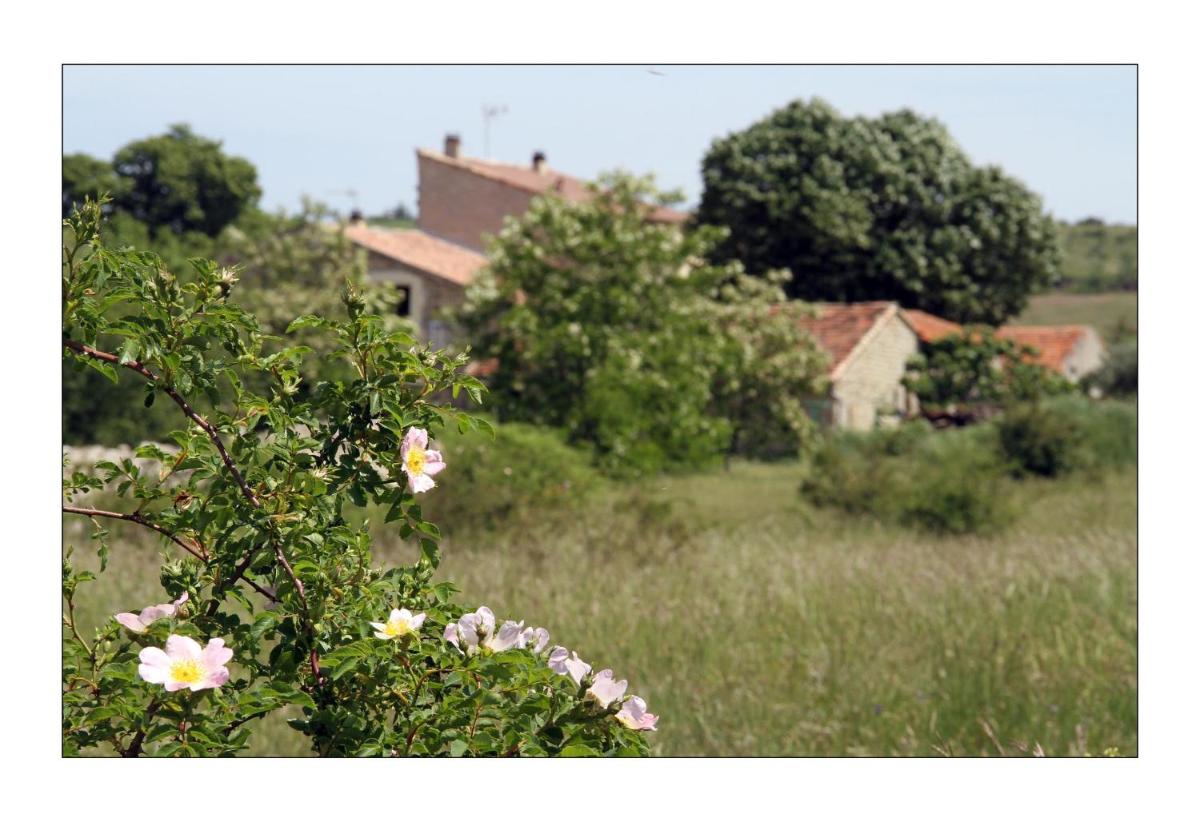 Le Mas de la Chadeniere - Housity