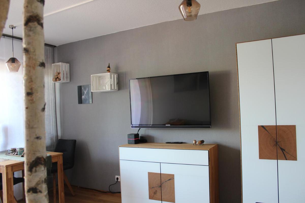 1-Zimmer-Apartment mit großem Balkon - Housity