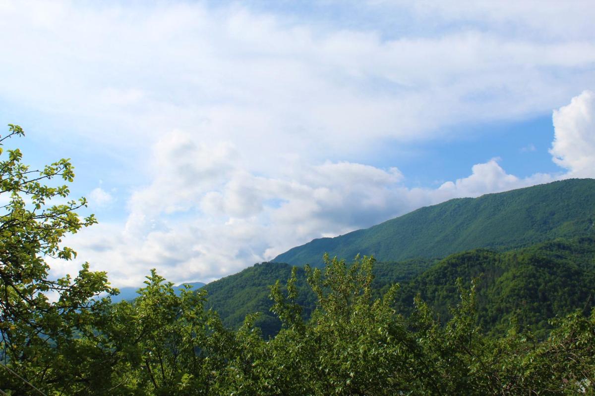 Guest house Racha - Housity