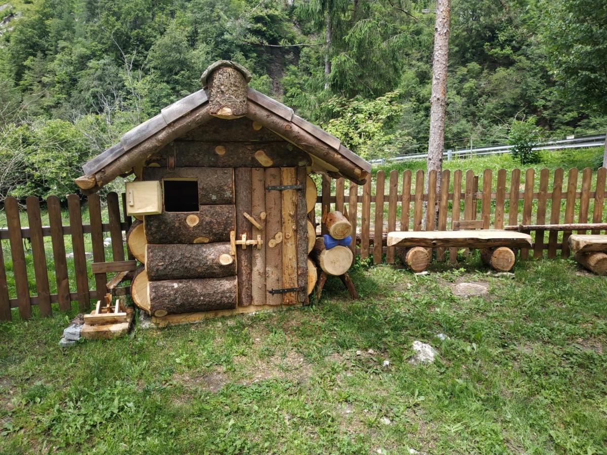B&B l'Asinello Rampante - Housity