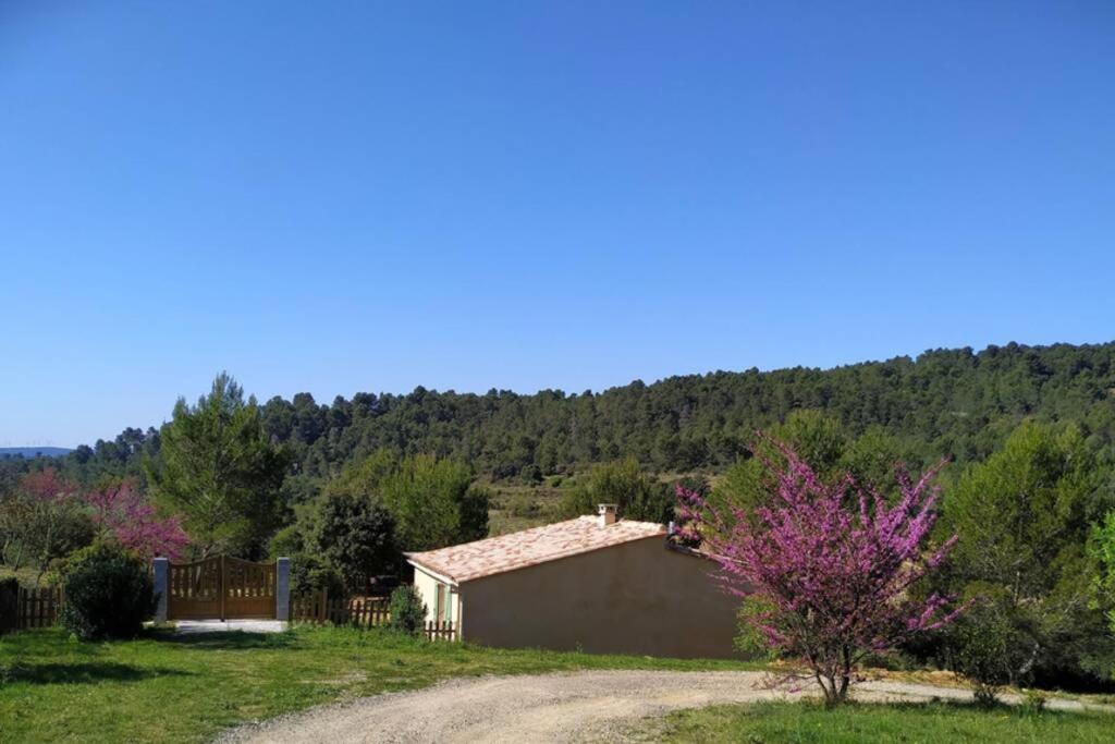 L'Arbre à soleil - Housity