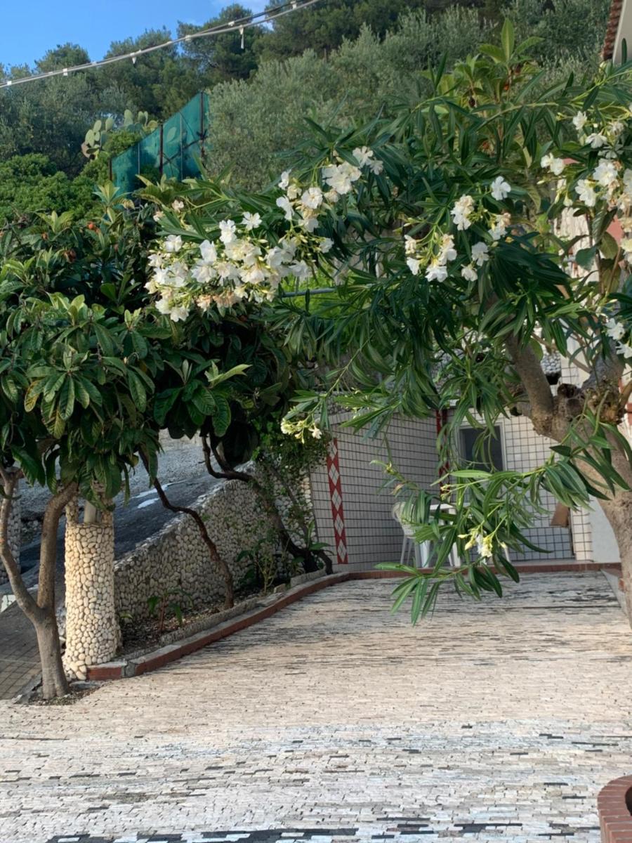 Casa Margherita - Housity
