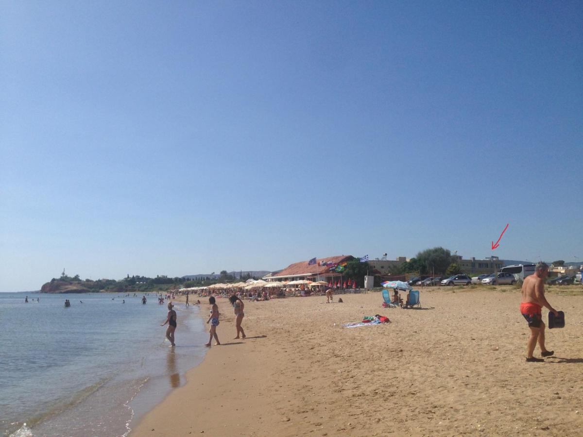 Via Mare Apartments - Housity