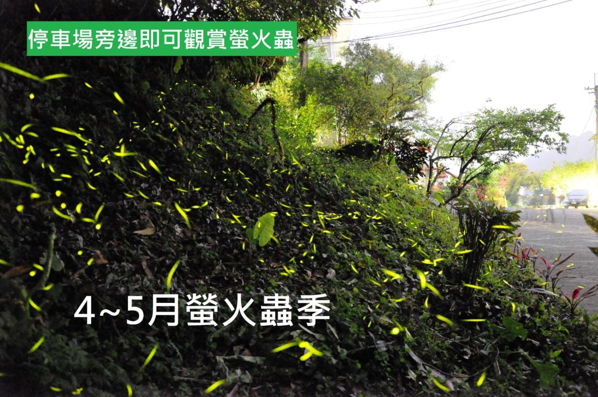 Very Happy Homestay - Housity