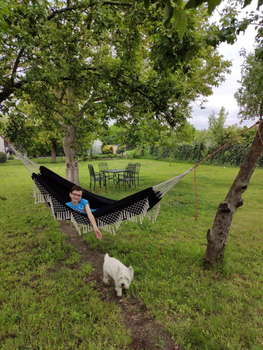 Willa Wanda - duży ogród z hot-tube i sauna - Housity