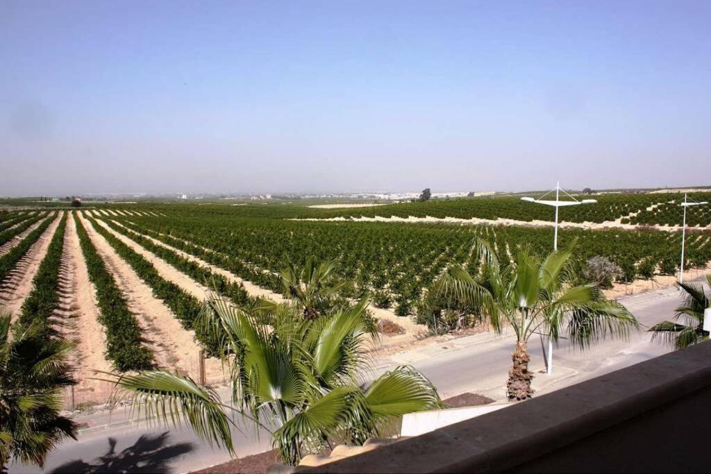 Chalet in La Finca Golf Algorfa - Housity