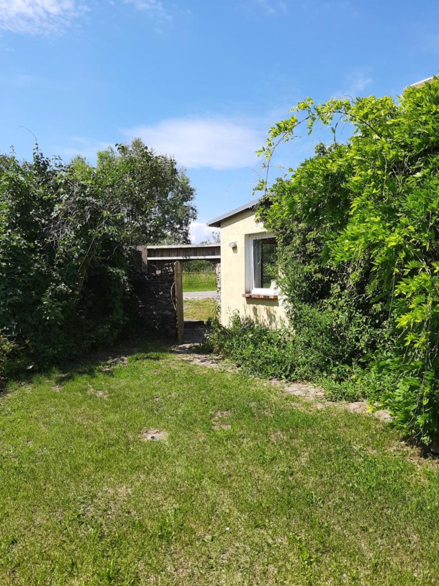 Ferienwohnung in Welzin - Housity