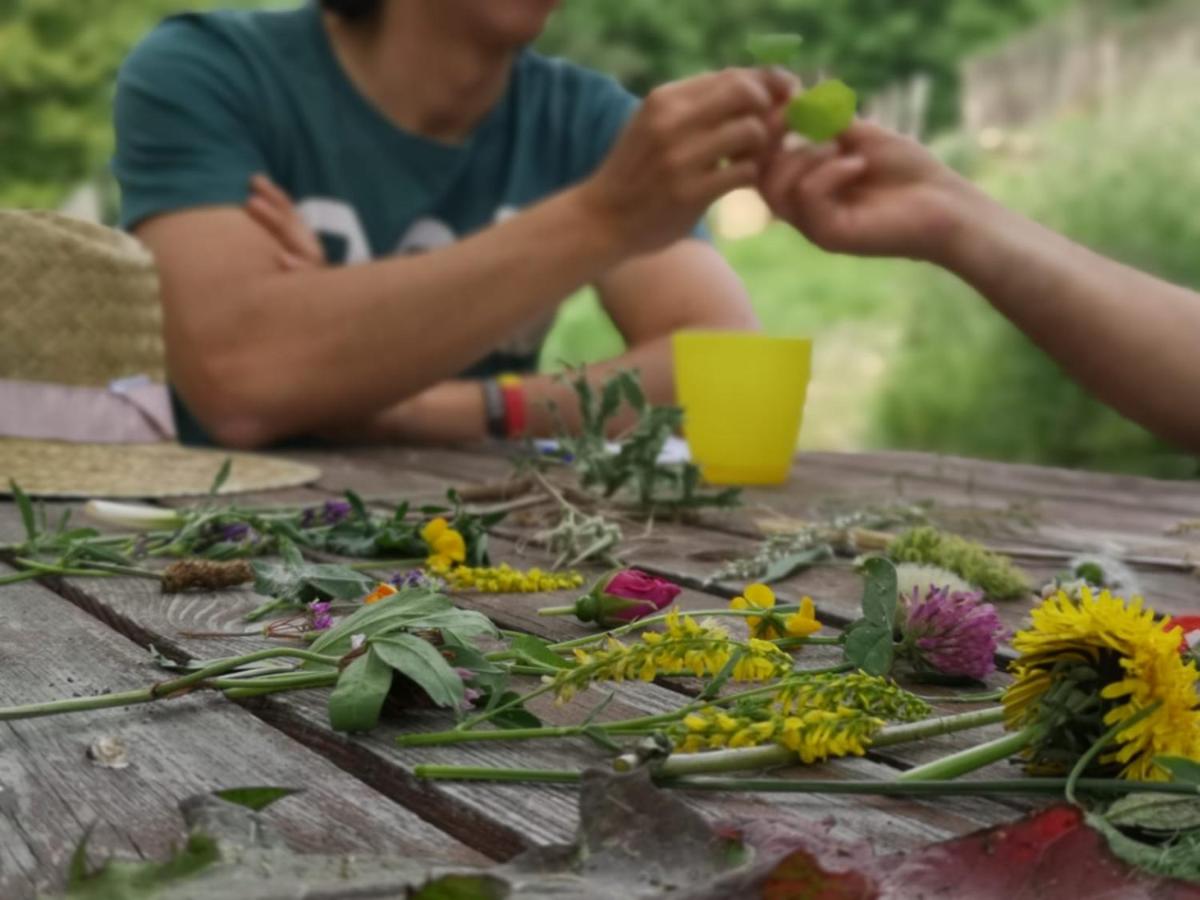 Jardín al aire libre en Cerdanya Viva Ecoestades