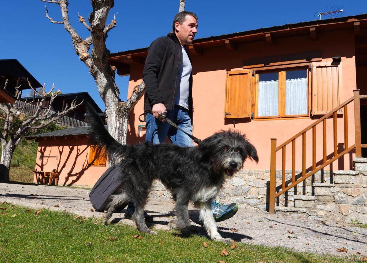 Mascotas con sus dueños en Cerdanya Viva Ecoestades